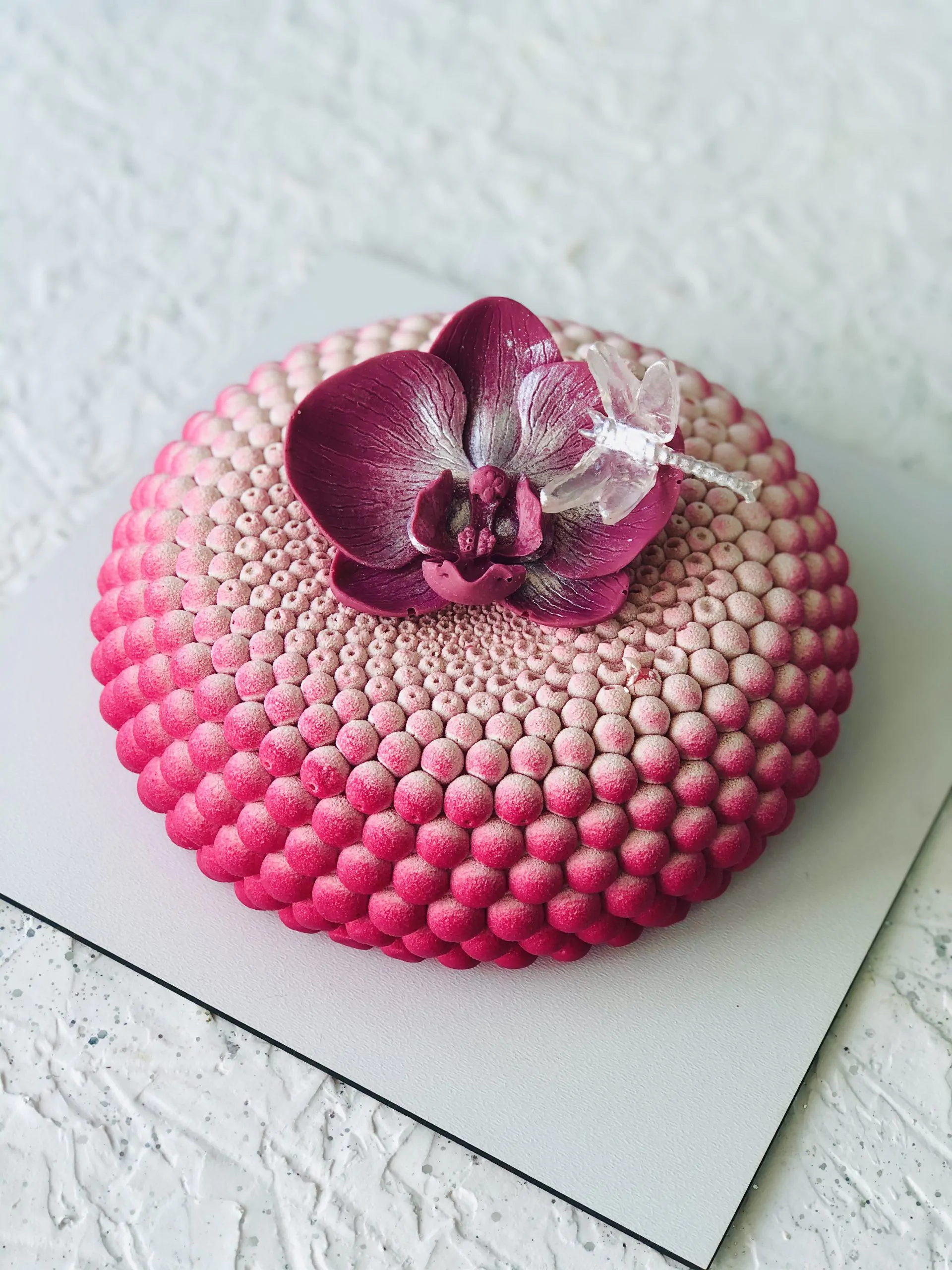 Юлия Жвакина